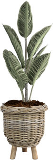 van der Leeden Planten/bloemen mand - op pootjes - rotan - gevlochten - D34 x H40 cm - plantenpot - bloempot