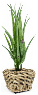 van der Leeden Planten/bloemen mand - rechthoekig - rotan - gevlochten riet - 48 x 48 x 37 cm - drypot