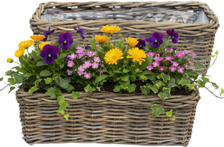 van der Leeden VD Leeden Plantenmand Klassiek - 2x - bruin - rechthoek?- 60 x 23 x 20 cm - rotan - gevlochten riet