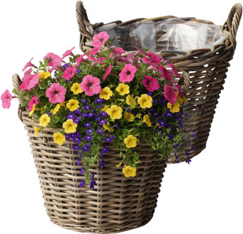 van der Leeden VD Leeden Plantenmand Klassiek - 2x - rond - bruin - 25 x 19 cm - rotan - gevlochten riet