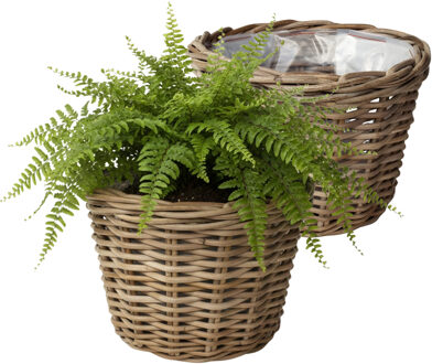 van der Leeden VD Leeden Plantenmand Klassiek - 2x - rond - bruin - 35 x 25 cm - rotan - gevlochten riet - bloemenm