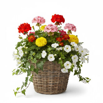 van der Leeden VD Leeden Plantenmand Klassiek - rond - bruin - 25 x 19 cm - rotan - gevlochten riet - bloemenmand