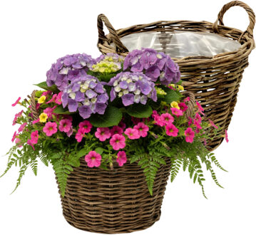 van der Leeden VD Leeden Plantenmand Twijg - 2x - rond - bruin - 40 x 30 cm - rotan - gevlochten riet - bloemenmand