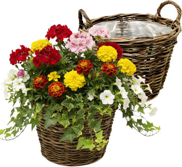 van der Leeden VD Leeden Plantenmand Twijg - 2x - rond - bruin - 42 x 32 cm - rotan - gevlochten riet - bloemenmand