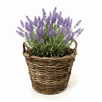 van der Leeden VD Leeden Plantenmand Twijg - rond - bruin - 30 x 23 cm - rotan - gevlochten riet - bloemenmand