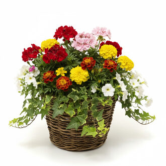 van der Leeden VD Leeden Plantenmand Twijg - rond - bruin - 42 x 32 cm - rotan - gevlochten riet - bloemenmand