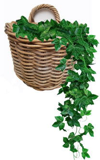 van der Leeden Wandhanger mand - bruin - 29 x 18 x 20 cm - rotan - gevlochten - voor bloemen/planten