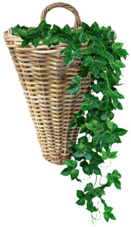 van der Leeden Wandhanger Rotan Grijs 30x26h37