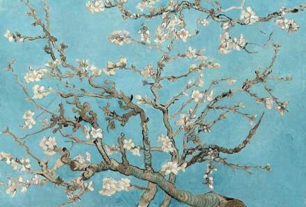 Van Gogh Almond Blossom Vlies Fotobehang 384x260cm 8-banen