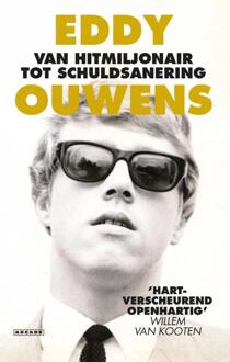 Van hitmiljonair tot schuldsanering - (ISBN:9789048850006)