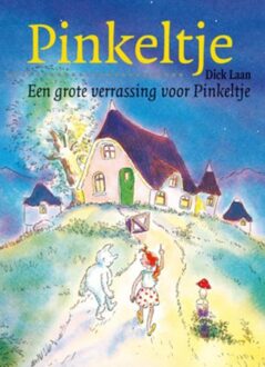 Van Holkema & Warendorf Een grote verrassing voor Pinkeltje - eBook Dick Laan (9000309387)