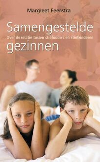 Van Holkema & Warendorf Samengestelde gezinnen - eBook Margreet Feenstra (9000319870)