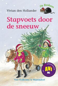 Van Holkema & Warendorf Stapvoets door de sneeuw - eBook Vivian den Hollander (9000317541)