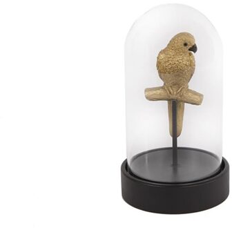 Van Manen Papegaai in stolp Ø11,5x20cm messing