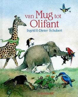 Van mug tot olifant - Boek Ingrid Schubert (9060699394)