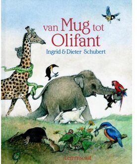 Van mug tot olifant - Boek Ingrid Schubert (9060699394)