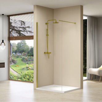 van Rijn Inloopdouche Van Rijn Products Vaste Wand 49-51 x 200 cm Helder Glas en Gouden Muurprofiel van Rijn