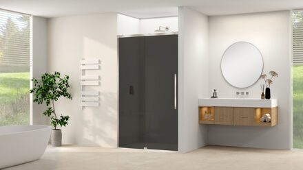 van Rijn Schuifdeur Van Rijn Products ST09 Aan Vast Deel 120x200 cm 8 mm Rookglas Softclose Incl. Beslag Geborsteld RVS