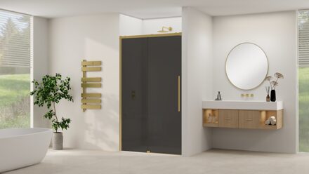 van Rijn Schuifdeur Van Rijn Products ST09 Aan Vast Deel 180x200 cm 8 mm Rookglas Softclose Incl. Beslag Geborsteld Messing