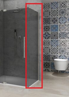 van Rijn Vaste Wand Van Rijn Products ST08 90x200 cm 8 mm Rookglas met Muurprofiel RVS tbv Hoekcabine