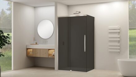 van Rijn Zijwand Van Rijn Products ST09 tbv Hoekcabine 100x200 cm 8 mm Rookglas Incl. Beslag Geborsteld RVS