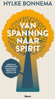 Van spanning naar spirit