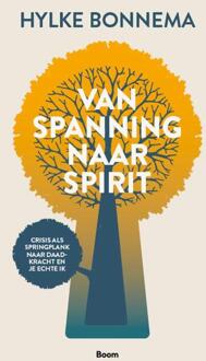 Van spanning naar spirit