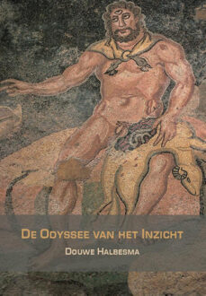 Van Warven Produkties De Odyssee van het inzicht - Boek Douwe Halbesma (9492421372)