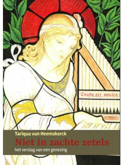 Van Warven Produkties Niet in zachte zetels - (ISBN:9789493175136)