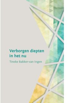 Van Warven Produkties Verborgen diepten in het nu - Boek Tineke Bakker-van Ingen (9492421097)