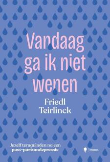 Vandaag ga ik niet wenen -  Friedl Teirlinck (ISBN: 9789493429987)