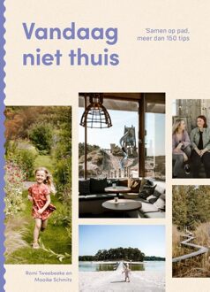 Vandaag Niet Thuis - Romi Tweebeeke