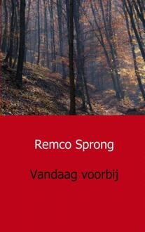 Vandaag voorbij - Boek Remco Sprong (946193081X)