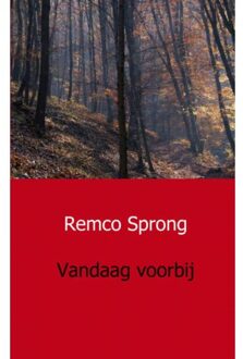 Vandaag voorbij - Boek Remco Sprong (946193081X)