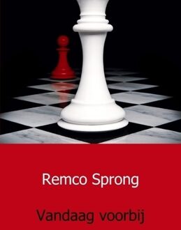 Vandaag voorbij - Boek Remco Sprong (9491080776)