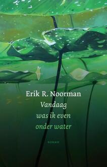 Vandaag Was Ik Even Onder Water - Erik R. Noorman