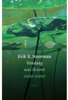 Vandaag Was Ik Even Onder Water - Erik R. Noorman