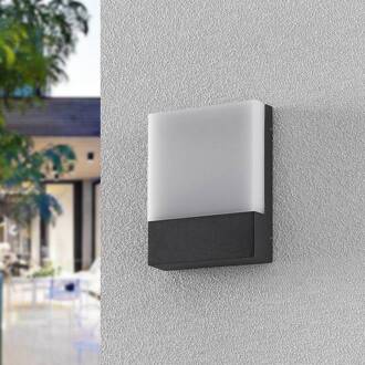 Vanira LED wandlamp voor buiten donkergrijs, wit