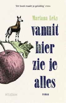 Vanuit hier zie je alles - Boek Mariana Leky (9046823261)