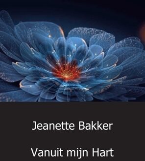 Vanuit mijn Hart - Boek Jeanette Bakker (9461937873)