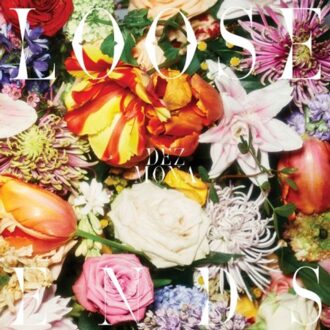 Various Loose Ends - Dez Mona