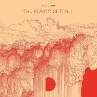 Various The Beauty Of It All - Monolink