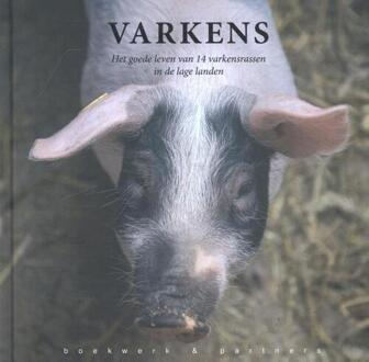 Varkens - Boek Jinke Hesterman (9054022876)