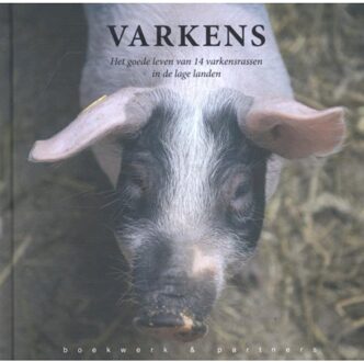 Varkens - Boek Jinke Hesterman (9054022876)