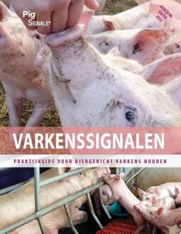 Varkenssignalen / 2022 - Jan Hulsen