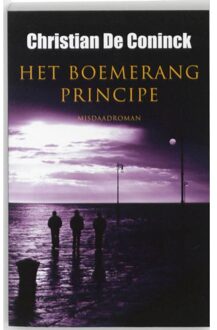 VBK - Houtekiet Het boemerangprincipe - Boek Christian De Coninck (9089240489)