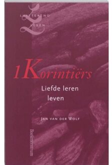 VBK Media 1 Korintiërs - Boek Jan L. van der Wolf (9023923197)