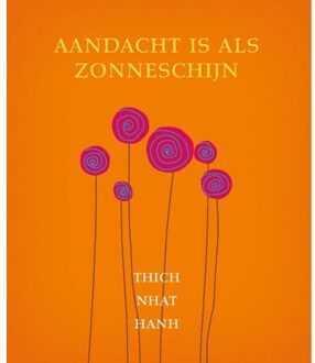 VBK Media Aandacht is als zonneschijn - Boek Thich Nhat Hanh (9025905781)