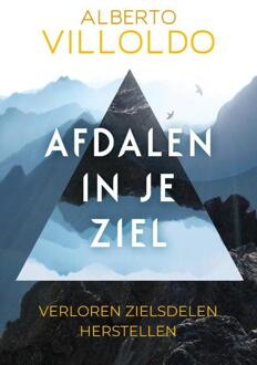 VBK Media Afdalen in je ziel - (ISBN:9789020218596)