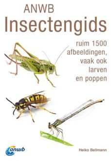 VBK Media Anwb Insectengids - Anwb Natuurgidsen - Heiko Bellmann